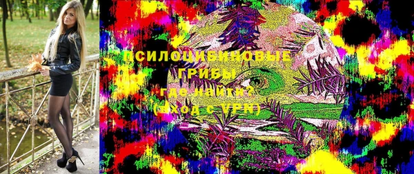 ешки Абинск