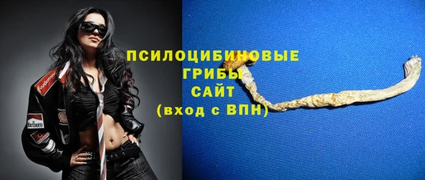 ешки Абинск