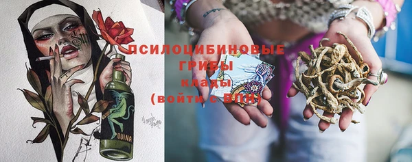 ешки Абинск