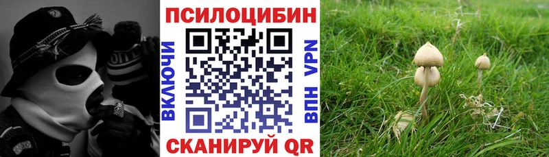 Галлюциногенные грибы Psilocybe  продажа наркотиков  Азнакаево 